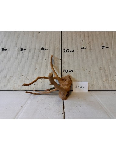AQUABOTA Racine Spiderwood 3160 - Aquabota.com
