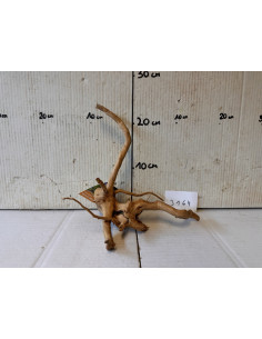 AQUABOTA Racine Spiderwood 3164 - Aquabota.com