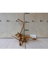 Racin Spiderwood 3164