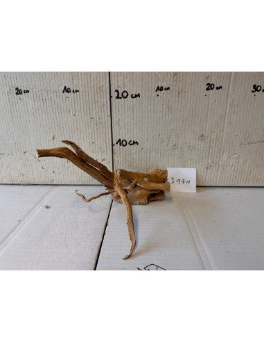 AQUABOTA Racine Spiderwood 3171 - Aquabota.com