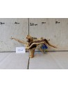 AQUABOTA Racine Spiderwood 3206 - Aquabota.com