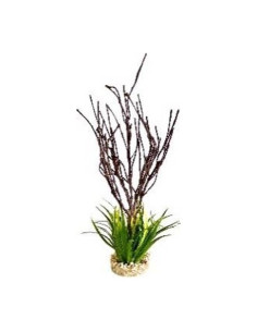 TERRA BRANCHES PLANTE 39cm SCALARE SCALARE - 1