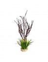 TERRA BRANCHES PLANTE 39cm SCALARE SCALARE - 1
