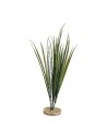 TERRA HERBE 65cm SCALARE SCALARE - 1