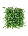 TERRA TAPIS HERBE 32cm SCALARE SCALARE - 1