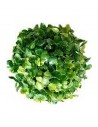 TERRA BOULE BUI 13cm SCALARE SCALARE - 1