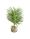 TERRA PLANTE SUCCULENTE 13cm SCALARE SCALARE - 1