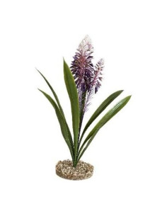 TERRA ALOE FLEUR 45cm SCALARE SCALARE - 1