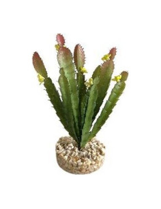 TERRA CACTUS FLEUR 17cm SCALARE SCALARE - 1