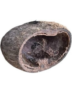 coco pods