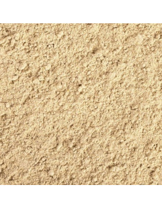 TROPICAL Gecko Cream Abricot 100 ml - Aquabota.com