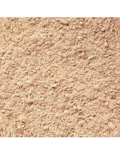 TROPICAL Gecko Cream Fraise 100 ml - Aquabota.com