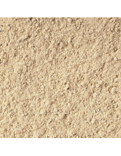 TROPICAL Gecko Cream Figue 100 ml - Aquabota.com