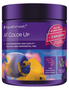 Color UP - 100 g
