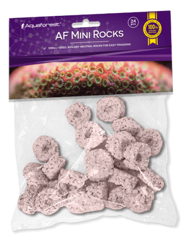 AF Mini Rocks Purple - 24 pcs
