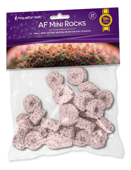 AF Mini Rocks Purple - 24 pcs