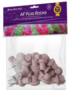 AF Plug Rocks Purple - 24 pcs