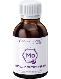 Molybdenum Lab - 200ml