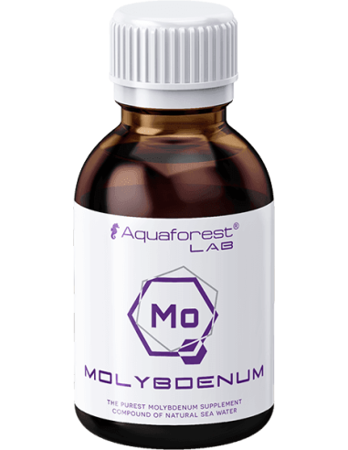 Molybdenum Lab - 200ml
