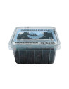 Repto Larves De Dolas (PACHNODA) Box