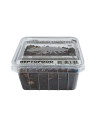 Repto Cloportes Tropicaux Box