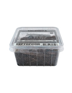 Repto Collemboles Box