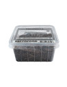 Repto Collemboles Box