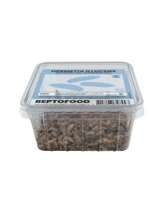 Vers De Mouche Soldat 1kg