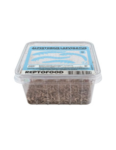 Repto Vers Buffalo Box 50g