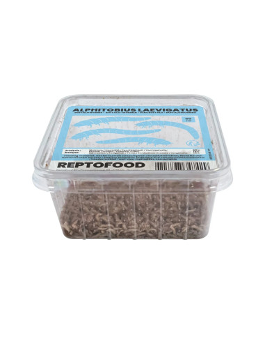 Repto Vers Buffalo Box 50g