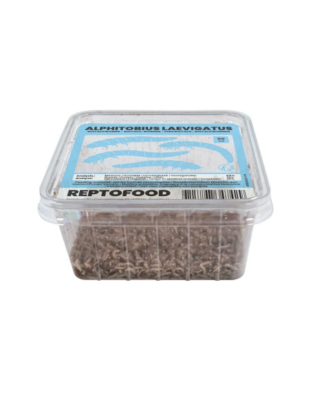Repto Vers Buffalo Box 50g