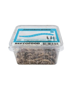 Repto Vers Morio Box 50g