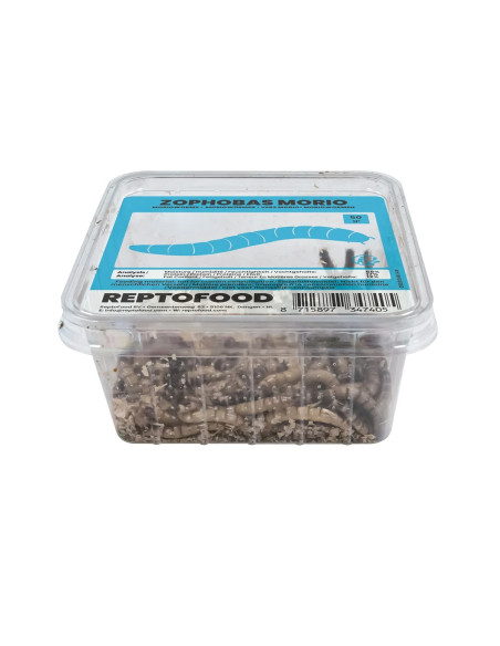 Repto Vers Morio Box 50g