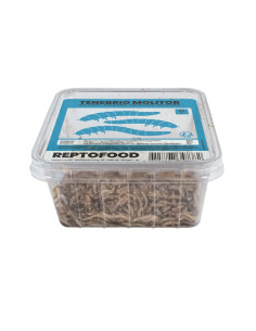 Repto Vers De Farine Box 50g