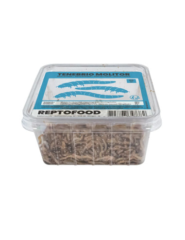 Repto Vers De Farine Box 50g