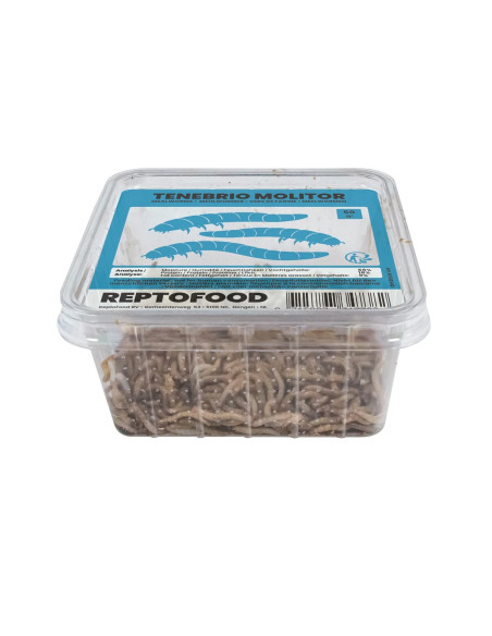 Repto Vers De Farine Box 50g