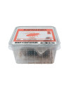 Repto Blattes M Box (SUBADULTES)