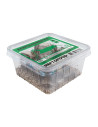 Repto Grillons Domestiques 8 Box
