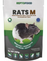 Repto Rats Adultes M 151-250g 5pcs