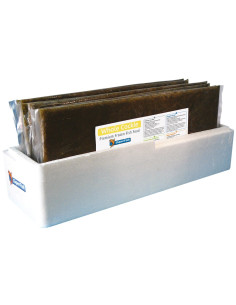 Superfish Coque Entier 500 Gr  Plaque