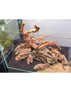 Tropica Lot Débutant - Layout 115 (35L)