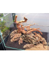 Tropica Lot Débutant - Layout 115 (35L)