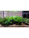 Tropica Lot Débutant - Layout 111 (54L)