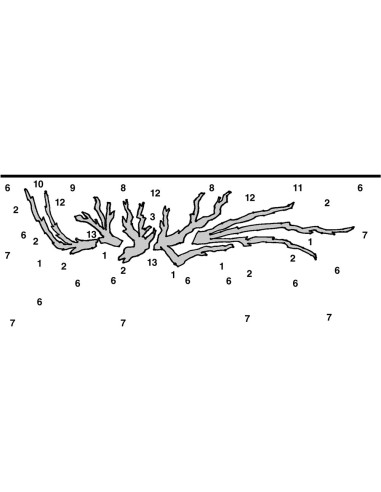 Tropica Lot Intermédiaire - Layout 108 (250L)