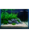 Tropica Lot Intermédiaire - Layout 106 (125L)