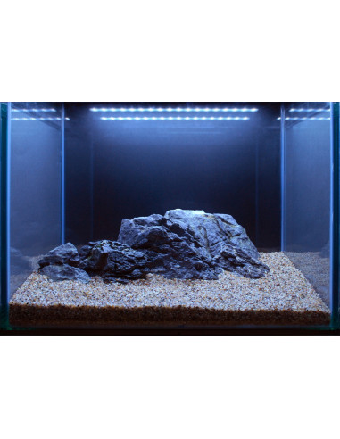 Tropica Lot Intermédiaire - Layout 106 (125L)