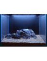 Tropica Lot Intermédiaire - Layout 106 (125L)