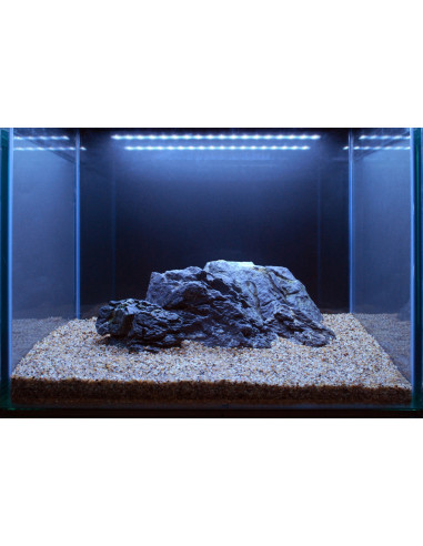 Tropica Lot Intermédiaire - Layout 106 (125L)
