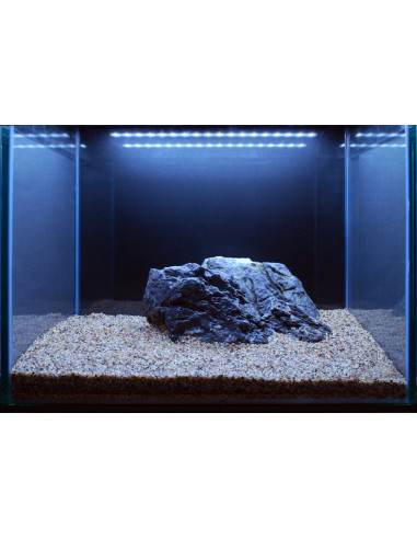 Tropica Lot Intermédiaire - Layout 106 (125L)