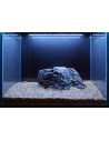 Tropica Lot Intermédiaire - Layout 106 (125L)